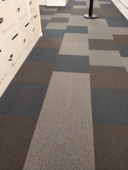 Nice and freshly vacuumed carpet hallway